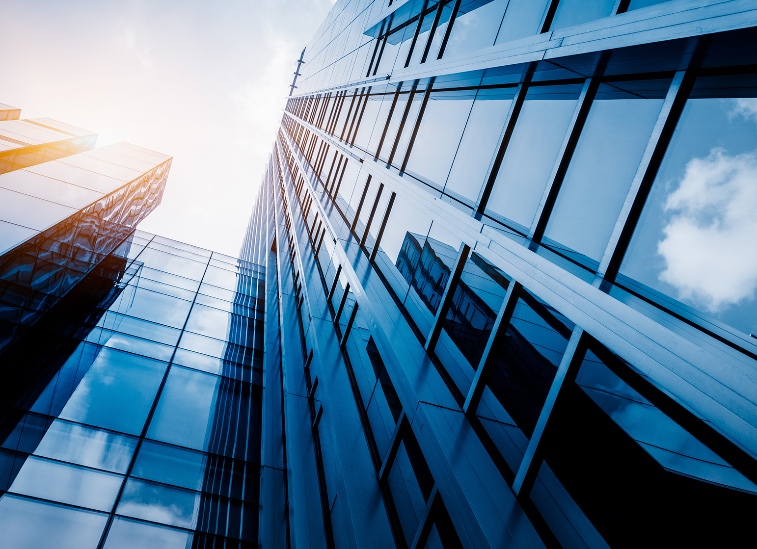 Portfolio picture template